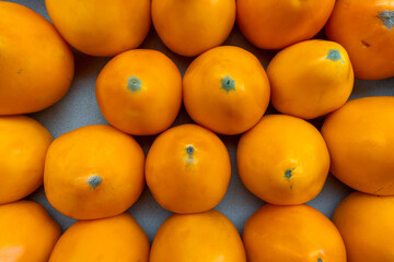 Yellow tomatoes arranged closely in a vibrant composition. Sunlit golden tomatoes embodying the...