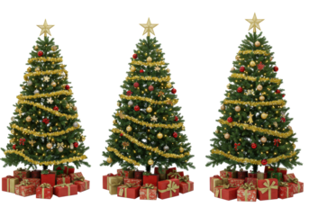 Three lush green christmas trees, decorated with baubles, warm led lights, and star toppers, surrounded by diverse wrapped gifts, isolated on a transparent studio background with high contrast.