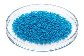 Modified E. coli colony with distinct blue color due to chromogenic substrate interaction