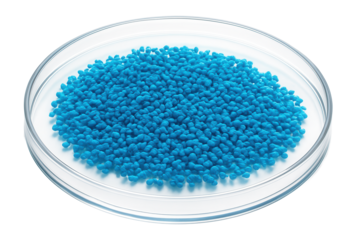 Modified E. coli colony with distinct blue color due to chromogenic substrate interaction