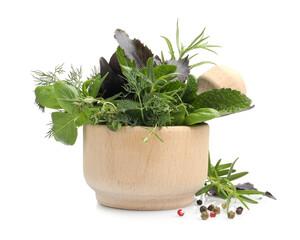 Mortar with different fresh herbs isolated on white
