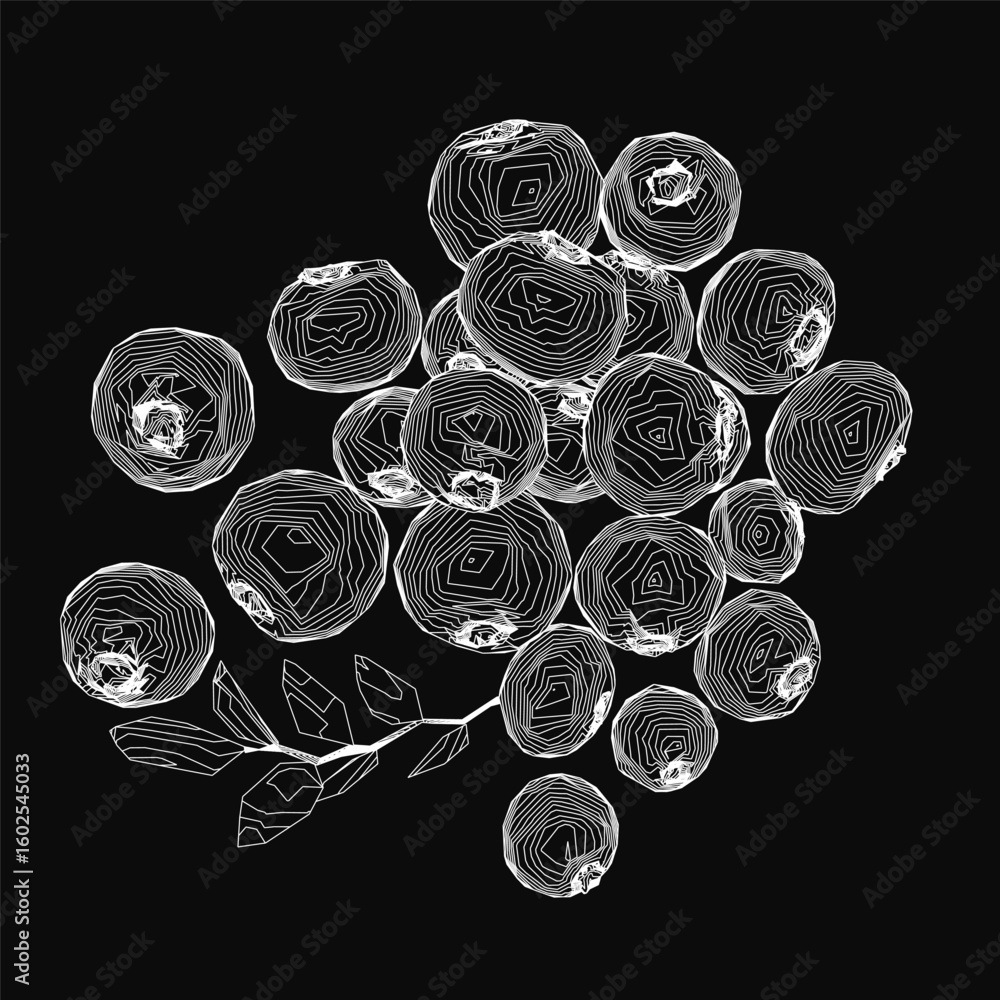 Poster blackberries on a black background create a striking contrast in this crisp vector illustration. the