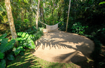 A lush green jungle with a sandy area in the middle