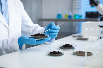 Scientist taking soil sample for research at white table in laboratory, closeup