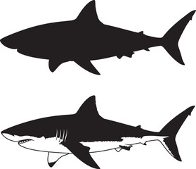 Great white shark silhouette and detailed illustration, powerful marine predator, ocean life vector graphic, symbol of danger and aquatic power
