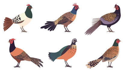 Fototapeta premium Silhouette vector set of pheasant birds in various standing and flying poses on a clean white background, representing elegant wildlife, game birds, natural habitat