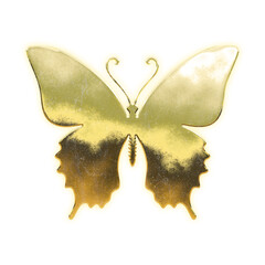 Shining golden butterfly, alpha channel

