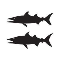 Obraz premium Barracuda Fish Silhouette with Open Jaws and Sharp Teeth