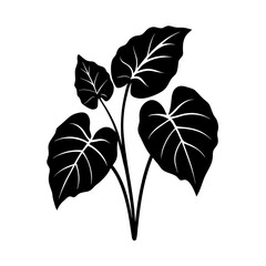 green leaves isolated on white background