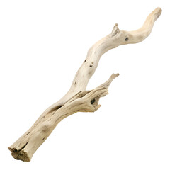 Fototapeta premium Weathered driftwood branch isolated on transparent background