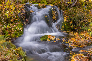 A small cascade of water during peak fall color in the Eastern Sierra, near Mammoth Lakes.