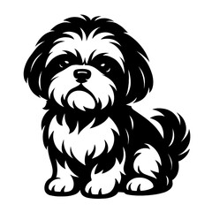 Cute Shih Tzu Dog Sitting Portrait Vector Art - Pet Animal