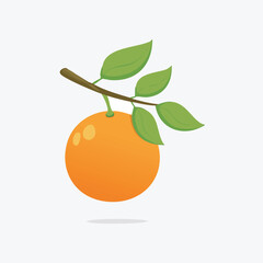 Cartoon Orange on Branch vector Illustration with Leaves Isolated on White Background