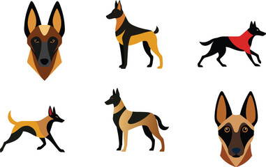 Belgian Malinois Dog Color Vector Illustration