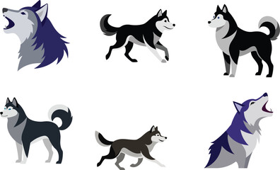 Alaskan Malamute Dog Color Vector Illustration