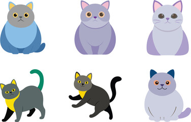 British Shorthair Color Vector Illustration