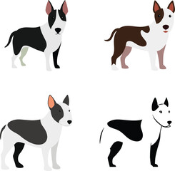 Bull Terrier Dog Color Vector Illustration