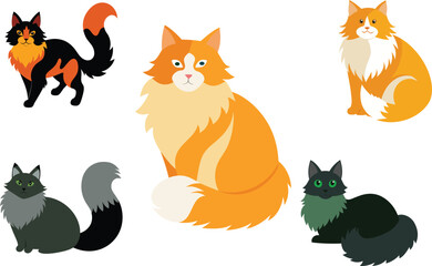 Domestic Longhair Color Vector Illustration