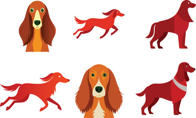 Irish Setter Dog Color Vector Illustration