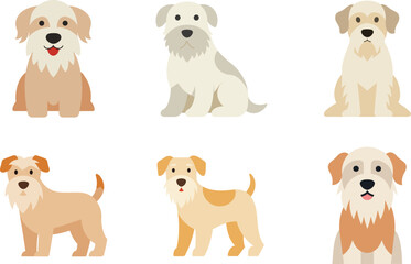Soft Coated Wheaten Terrier Dog Color Vector Illustration