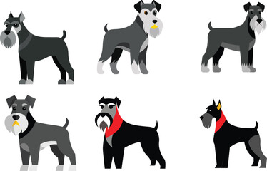 Standard Schnauzer Dog Color Vector Illustration