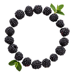 High-resolution photo of fresh blackberries arranged as a circle, isolated on transparent background