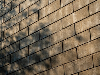 Shadows of trees cast on a large brick wall