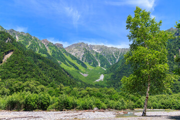 夏の上高地と穂高連峰の絶景を望む清流と緑の風景

