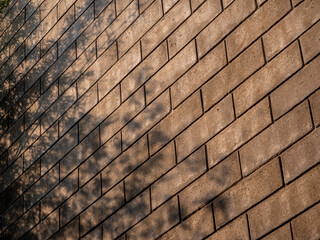 Shadows of trees cast on a large brick wall