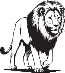 Obraz premium Walking lion with long curved tail and fluffy mane, outlined in clean black ink, hand-drawn illustration style.