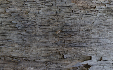 Old wooden background.