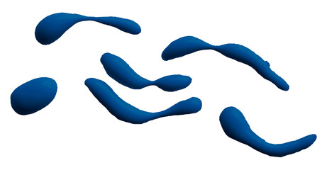 Beautiful blue watercolor brush isolated on transparent background.