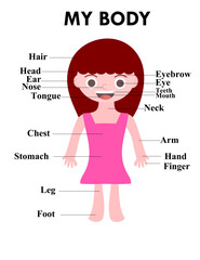 A human body diagram for kids.A girl.Body parts including head, hair, eye, ear, nose, mouth, teeth, neck, arm, hand, chest, stomach, leg, and foot.Educational and child-friendly style.