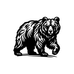 A powerful grizzly bear walking isolated on white background