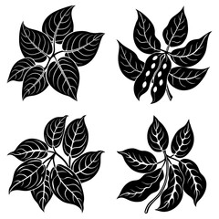 Obraz premium Illustration of four black bean plant clusters with leaves and one with bean pods on white background