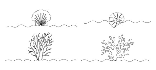 Seaweed and seashell one line illustration, continuous line isolated sketch, summer drawings set