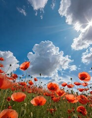 Obraz premium Flowers