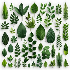 Naklejka premium seamless pattern with leaves
