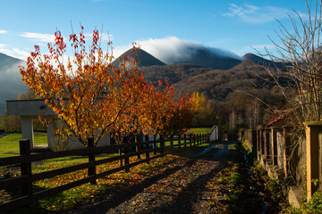 Nice morning view on mountain in fog at Zakarpattya, Ukraine