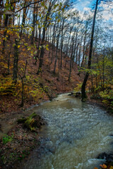 Nice autumn view of litte river in forest on Zakarpattya, Ukraine