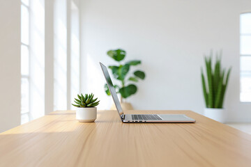 Silver laptop and green succulents on wooden desk plant