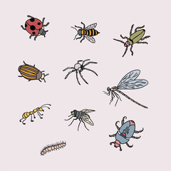 Colorful Hand-Drawn Insects Illustration Set with Ten Bugs