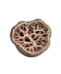 Section of a brown and cream dried seed pod. Natural texture, botanical, organic, detail, botany, intricate, pattern, unique, aesthetic, nature, detail.