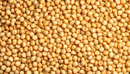Close-up of a textured soy bean pattern background, wallpaper, design