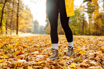 Close-up of a young female hiker's legs in hiking boots walking on bright fallen leaves. A female traveler walks through a sunny forest. Travel, hiking concept. Active lifestyle.