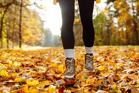 Close-up of a young female hiker's legs in hiking boots walking on bright fallen leaves. A female traveler walks through a sunny forest. Travel, hiking concept. Active lifestyle.