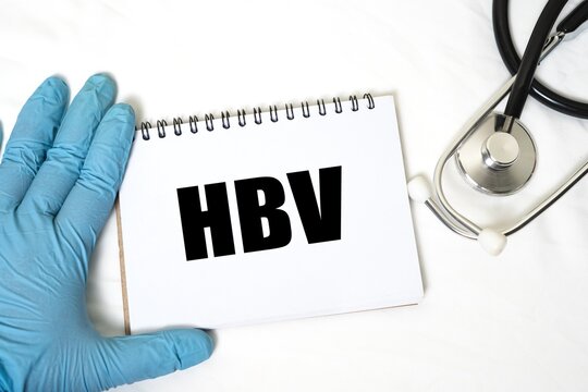 HBV in notebook isolated on bright white background. doctor's hand and stethoscope.