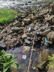 Large, moss-covered stones scattered in a shallow water stream. The water reflects sunlight, and vegetation grows along the edges. Debris, such as plastic bottles and leaves, is visible among the rock