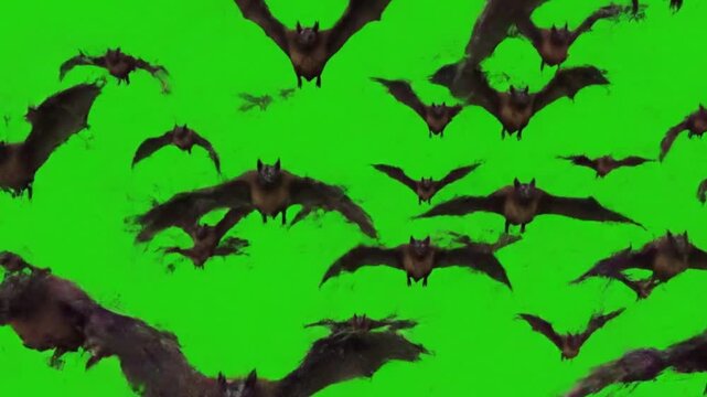 A swarm of brown bats flies against a bright green backdrop
