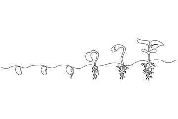 Continuous single line art of seed sprouting and plant growth stages minimalist botanical vector
